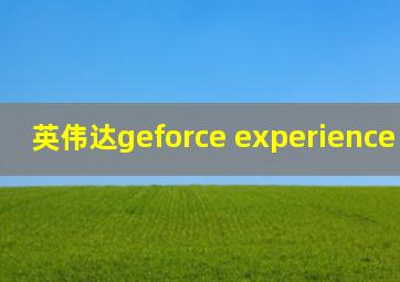 英伟达geforce experience 0x0003